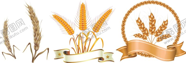 编号：13464509121857371597【酷图网】源文件下载-小麦png免扣高清素材
