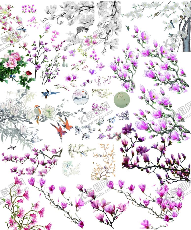 编号：53397409241827195094【酷图网】源文件下载-玉兰花素材