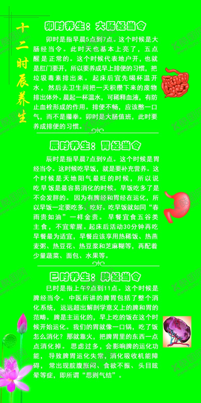 编号：95056506252353032726【酷图网】源文件下载-十二时辰养生