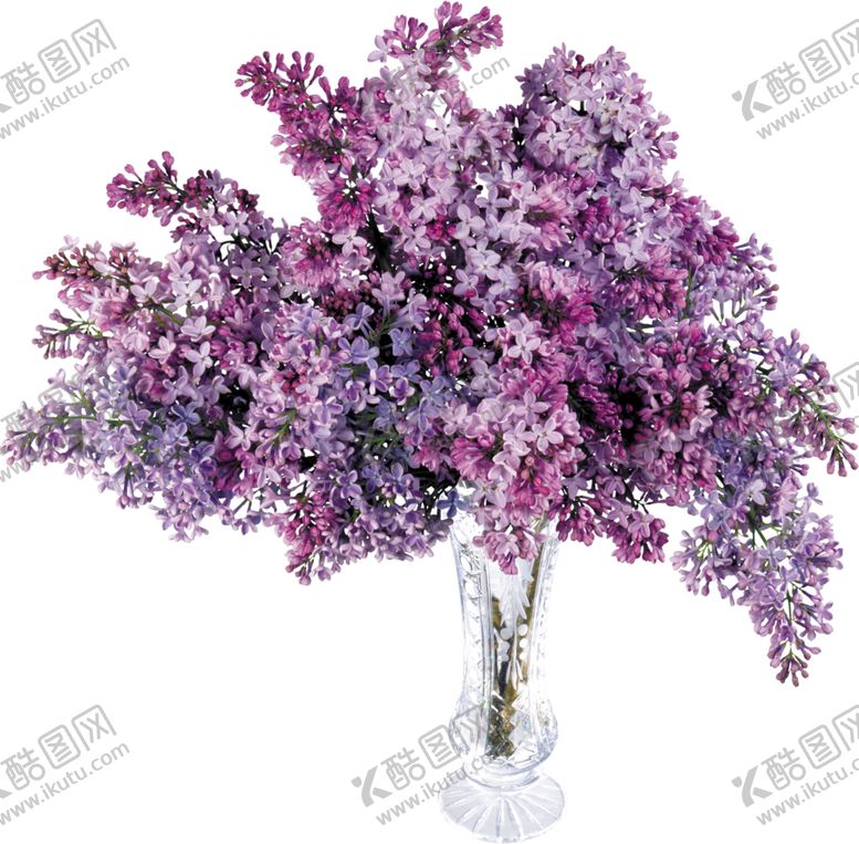 编号：75675905130441057914【酷图网】源文件下载-丁香花