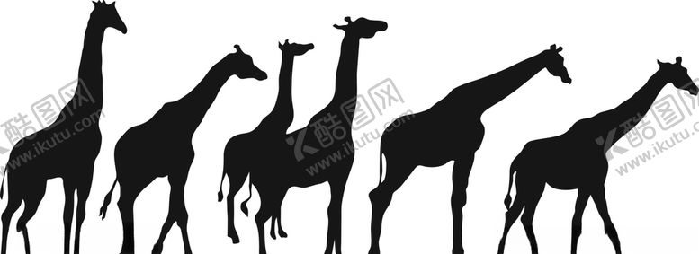 编号：42837009181149112415【酷图网】源文件下载-长颈鹿
