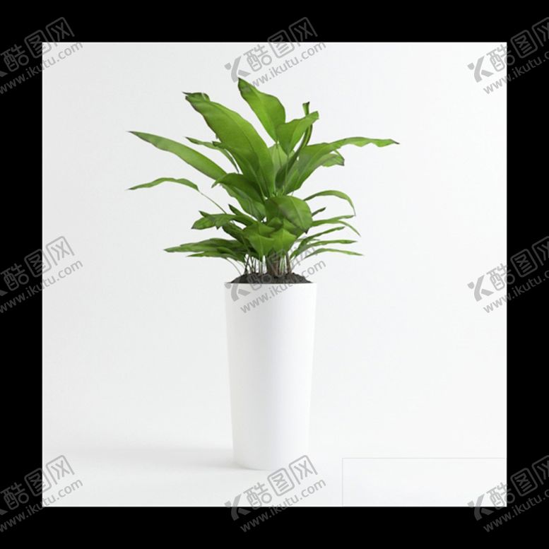 编号：46324902092109537111【酷图网】源文件下载-绿化植物模型