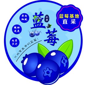 蓝莓水果贴