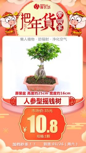 年货秒杀人参型摇钱树