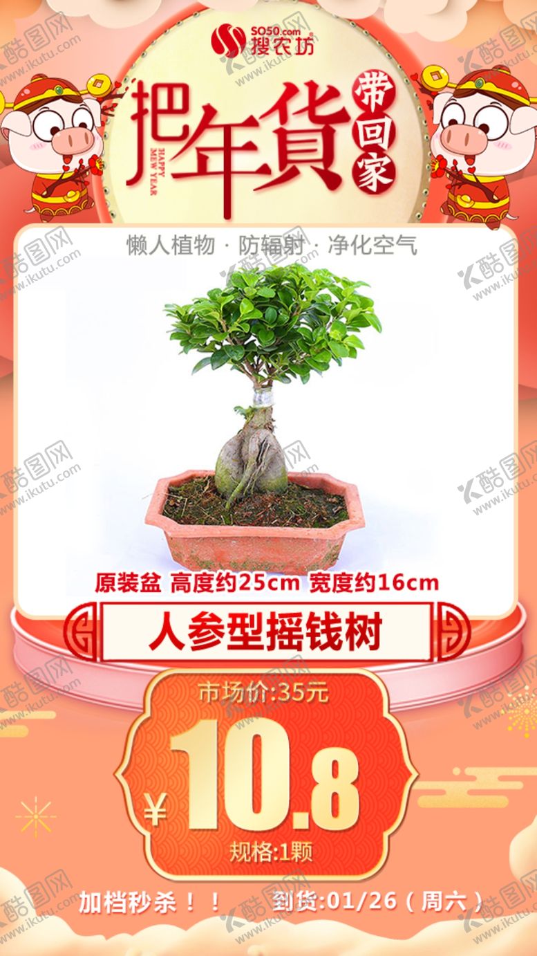 编号：61829406241007053014【酷图网】源文件下载-年货秒杀人参型摇钱树