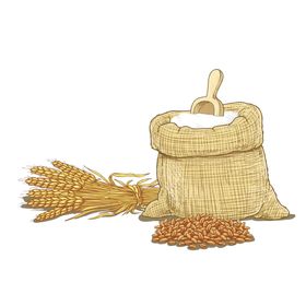 小麦面粉素材