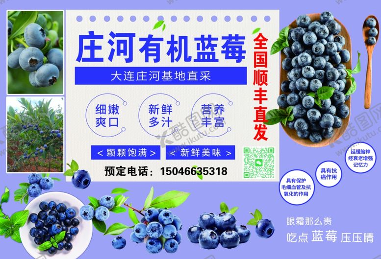 编号：34748410071751224279【酷图网】源文件下载-有机蓝莓宣传海报