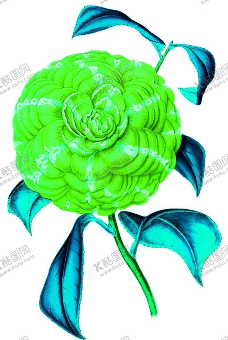 编号：29409610202357229946【酷图网】源文件下载-浪漫素材