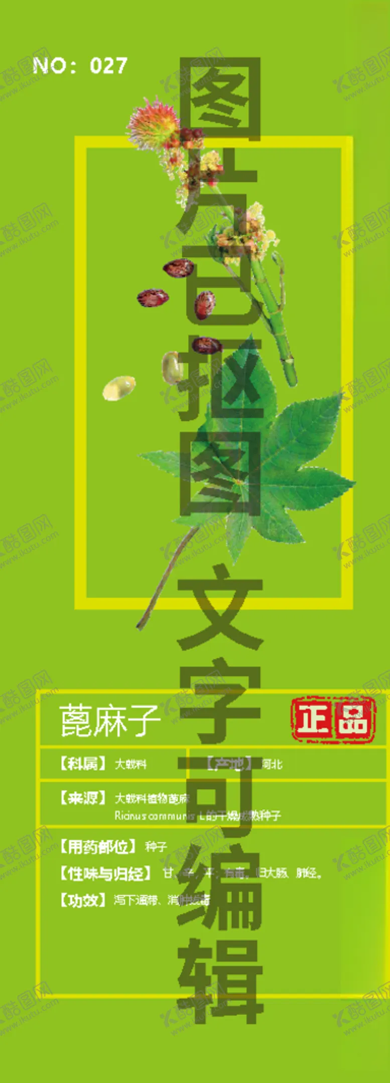 编号：69790104072248243289【酷图网】源文件下载-蓖麻子