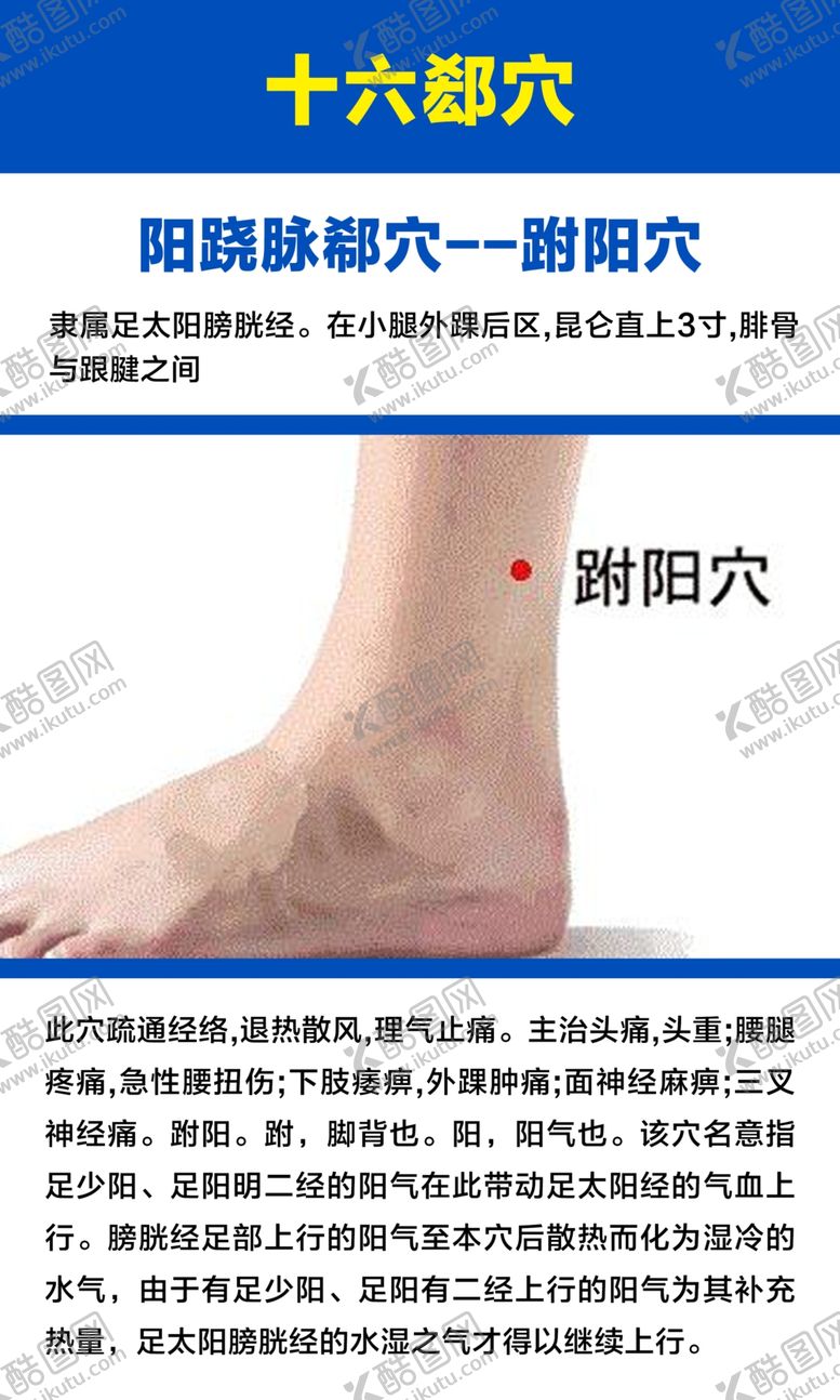 编号：61831101141454184853【酷图网】源文件下载-十六募穴