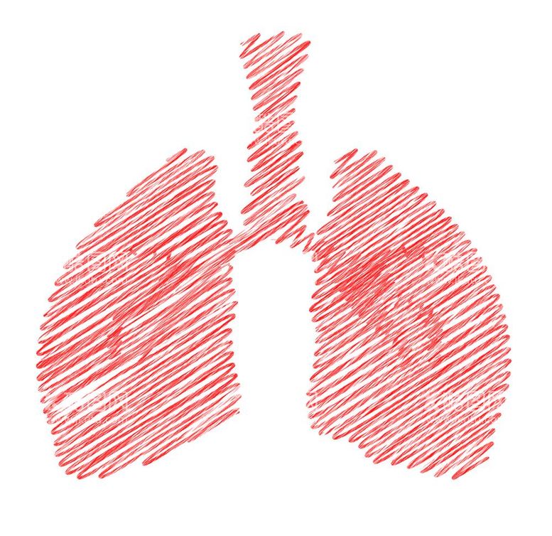 编号：38858111292048109493【酷图网】源文件下载-肺