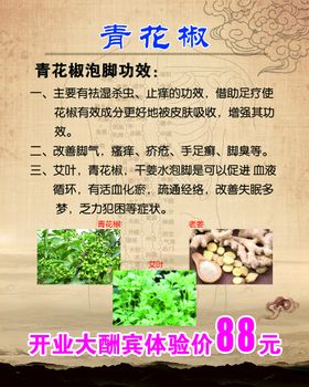 藏奥堂泡脚禁忌图版