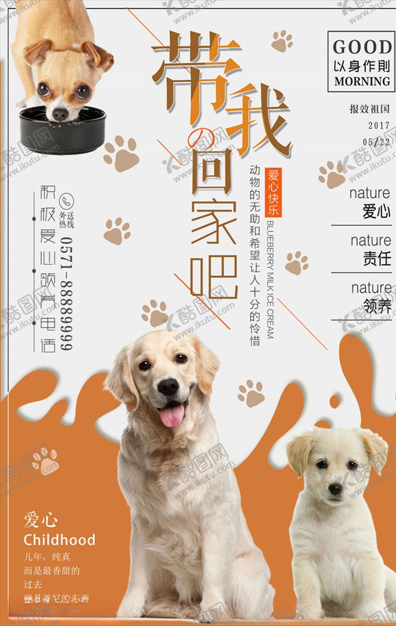 编号：28373706170315375144【酷图网】源文件下载-宠物海报