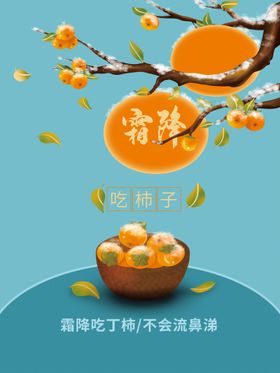 创意霜降节气摄影图海报