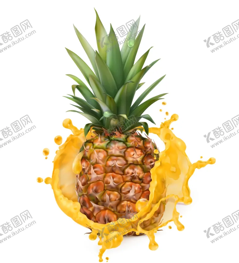 编号：65955212291857392201【酷图网】源文件下载-菠萝