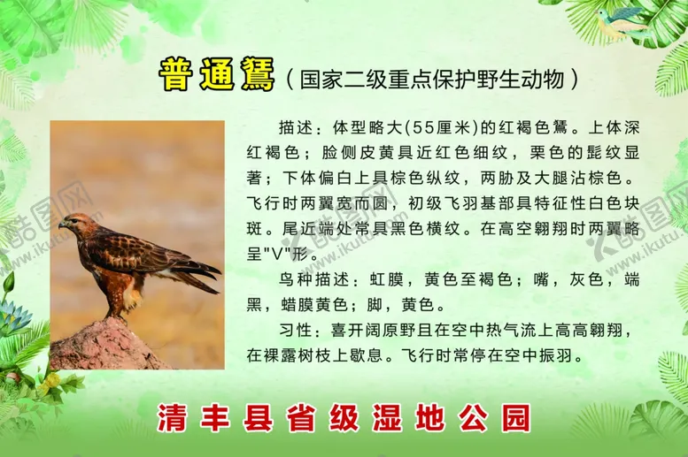 编号：67024910070014000716【酷图网】源文件下载-鸟类简介