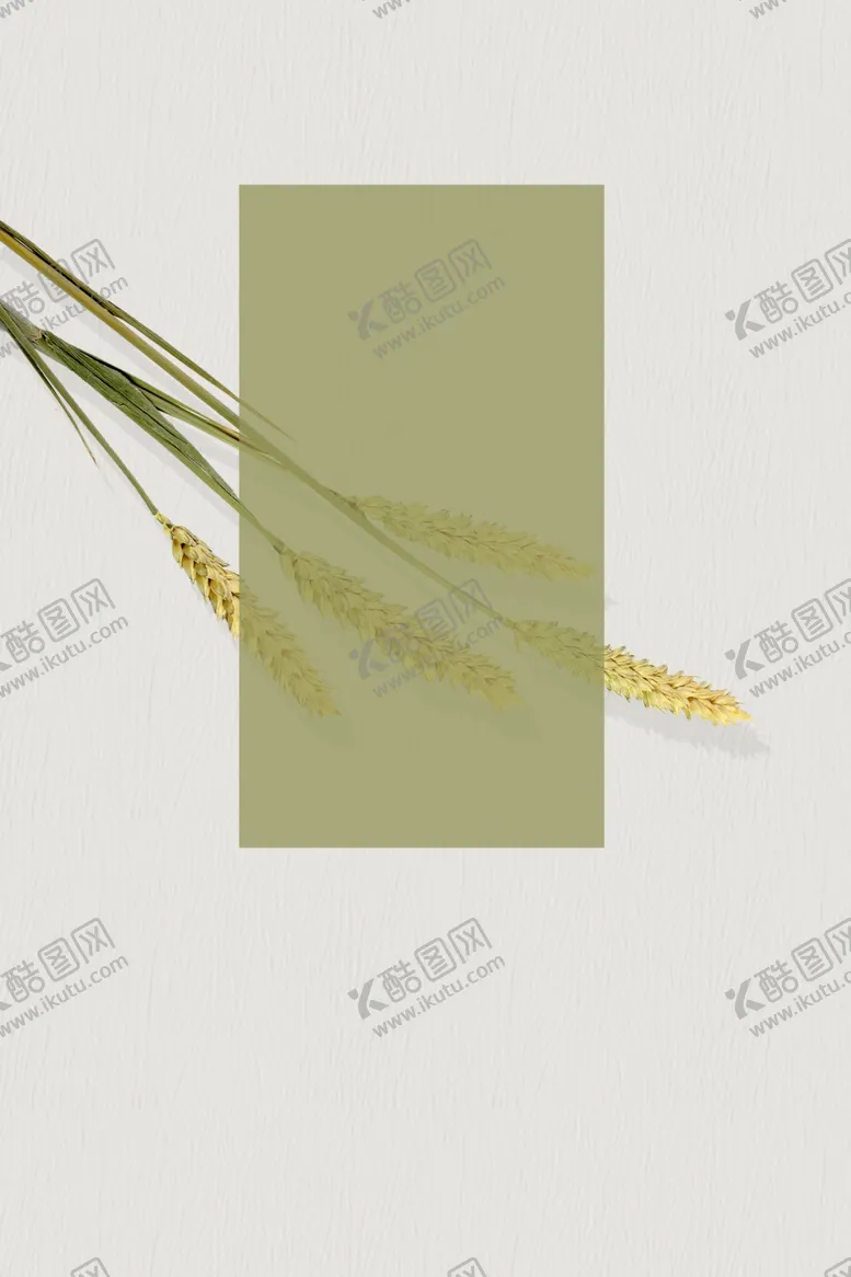 编号：91423605021458194925【酷图网】源文件下载-五谷杂粮海报