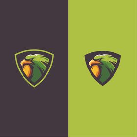 雄鹰LOGO