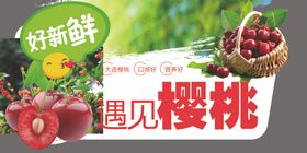樱桃海报造型