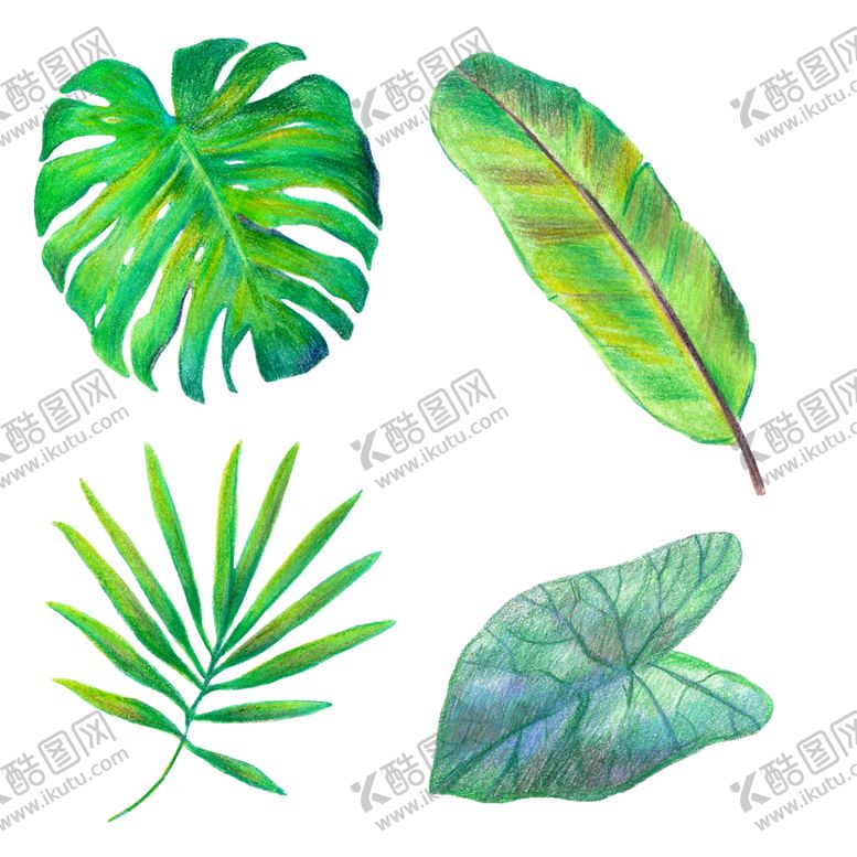 编号：81261807041529125539【酷图网】源文件下载-花纹背景