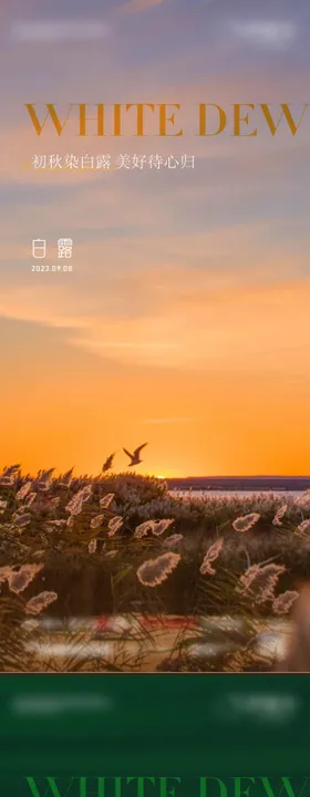 白露节气海报鹭秋天二十四系列