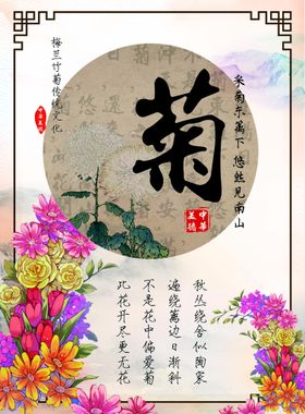 菊花海报