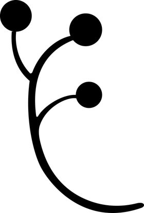 果子纹路