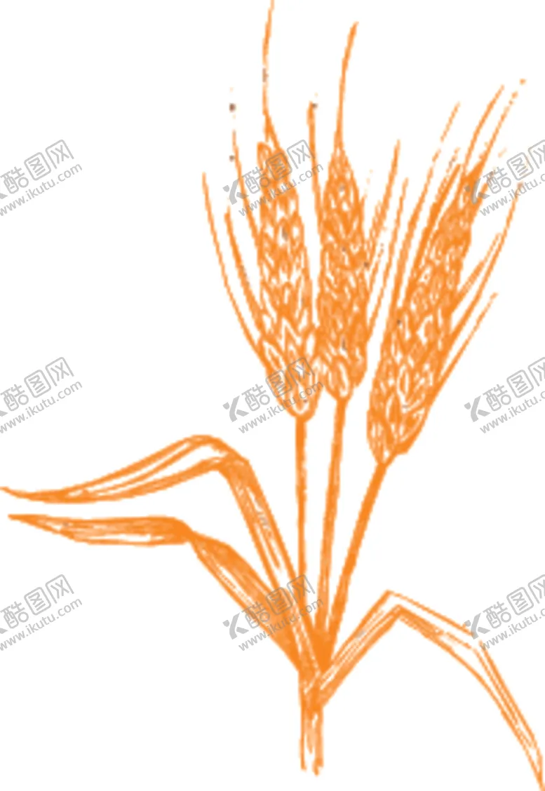 编号：45925906170129232411【酷图网】源文件下载-小麦