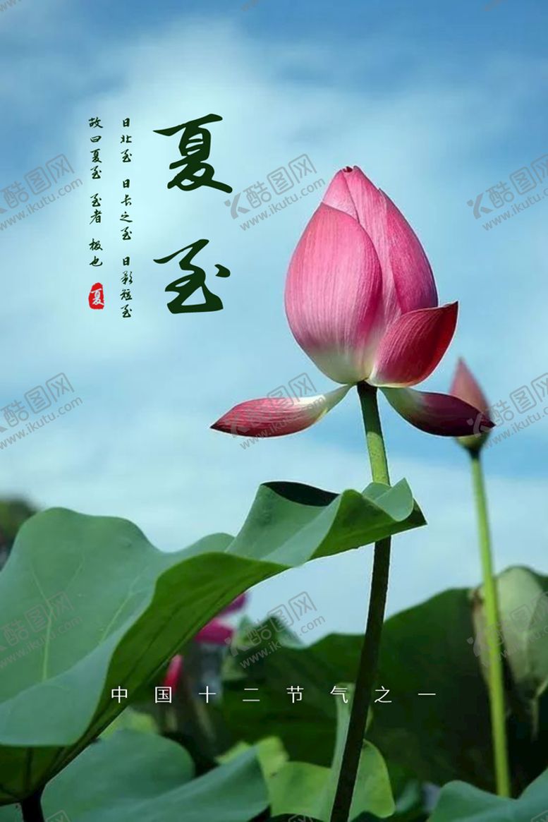 编号：07618309141025298075【酷图网】源文件下载-夏至二十四节气夏