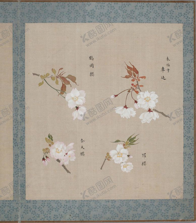 编号：51389205010350259882【酷图网】源文件下载-樱花