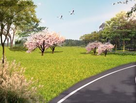 乡村景观麦田花树道路竹林