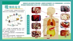 吸烟的危害