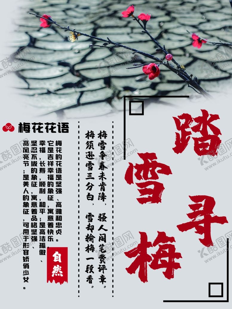 编号：24837009281323456618【酷图网】源文件下载-梅花