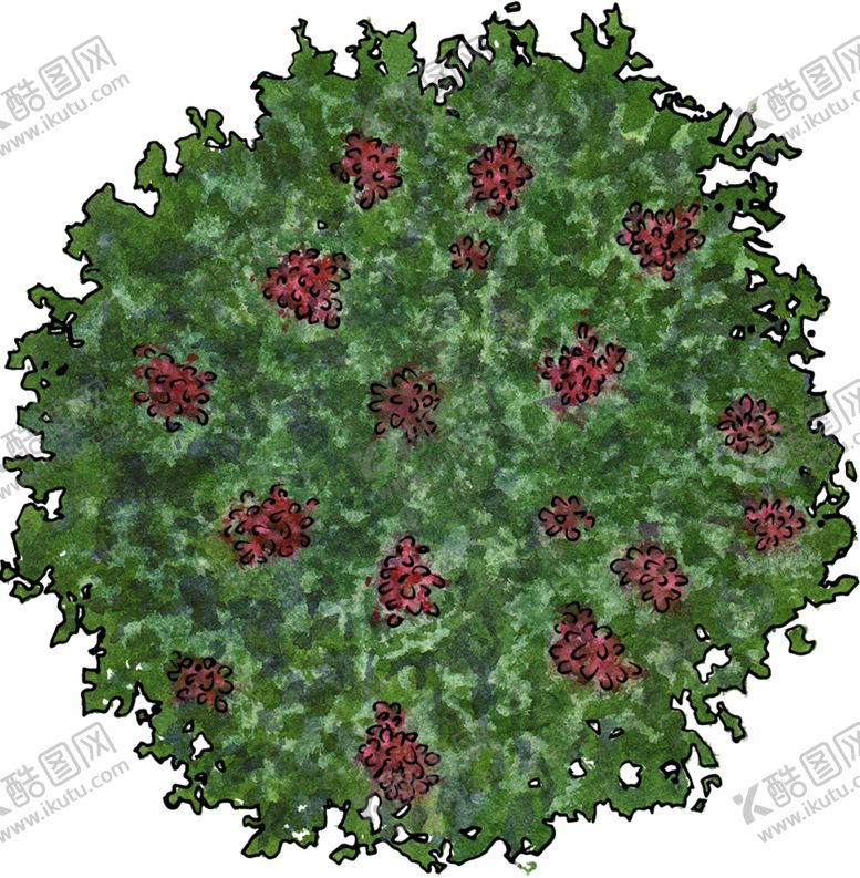 编号：54251007090745507200【酷图网】源文件下载-手绘植物