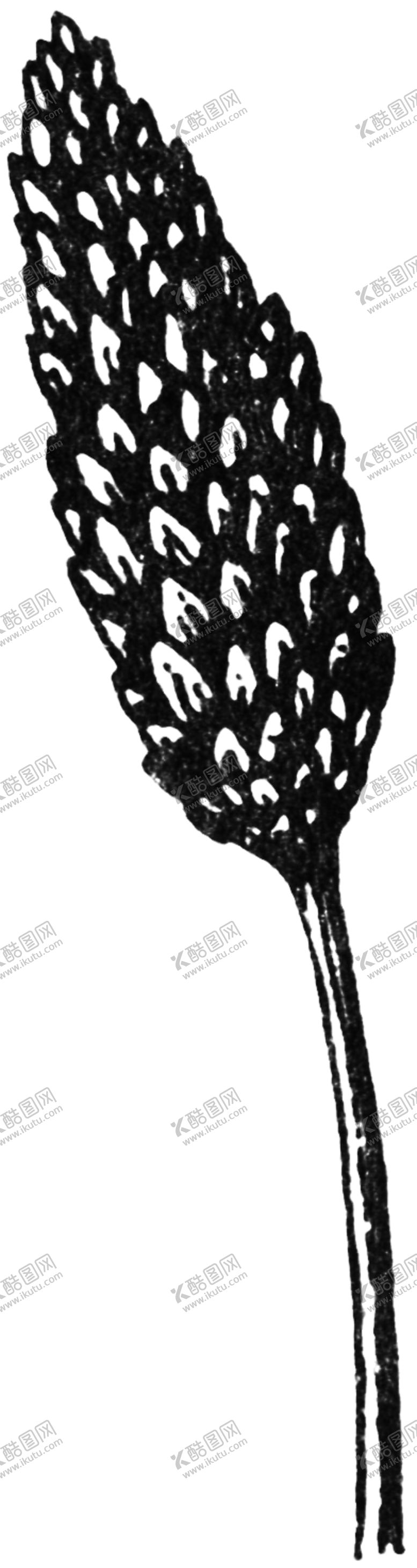 编号：90706510061056201325【酷图网】源文件下载-黑白手绘植物