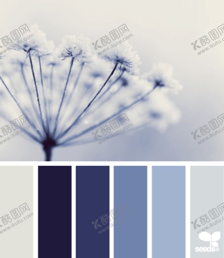 编号：26512909232122588496【酷图网】源文件下载-调色卡