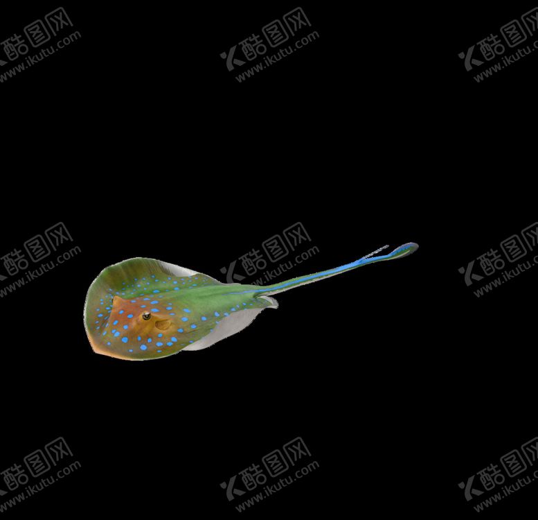 编号：51373810010841418648【酷图网】源文件下载-海洋生物