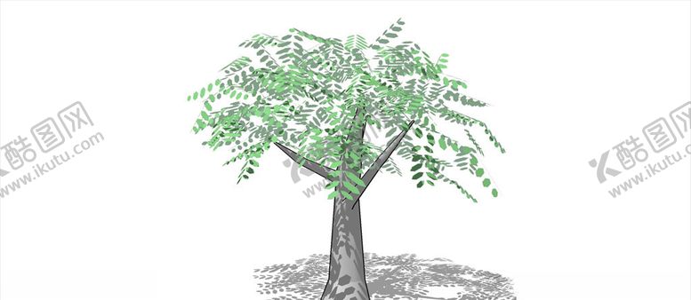 编号：81561010111627226569【酷图网】源文件下载-红豆树模型