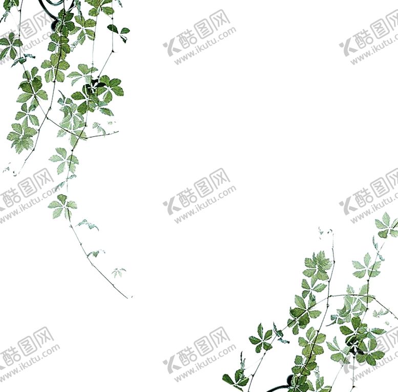 编号：10496010221335209250【酷图网】源文件下载-花边底纹