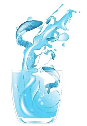 水花