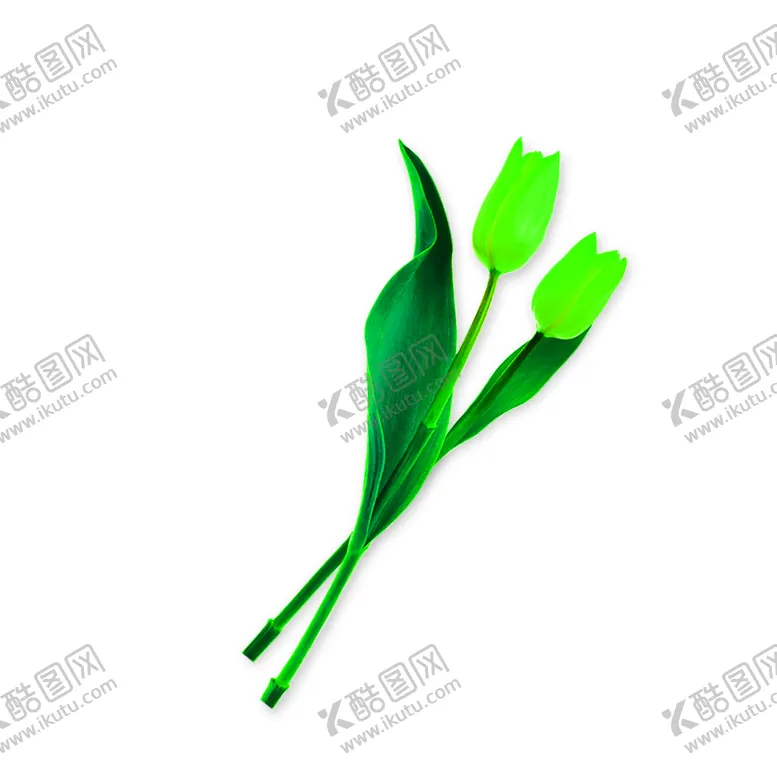 编号：51099906272018266443【酷图网】源文件下载-花素材