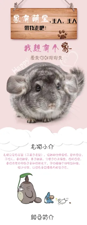 龙猫电商详情模板