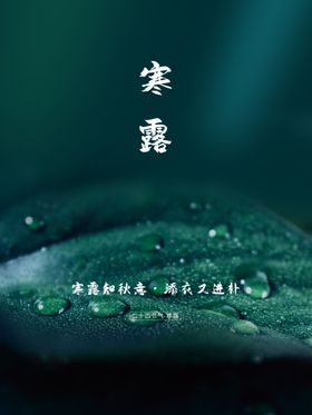 简约大气白鹿寒露节气海报