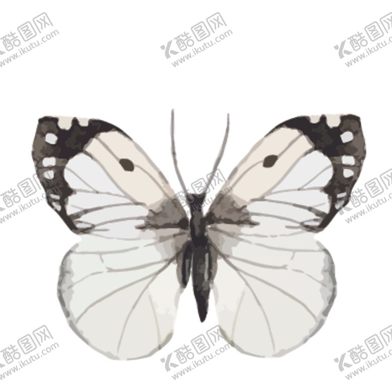 编号：67651905130022324204【酷图网】源文件下载-水彩蝴蝶绘画图案