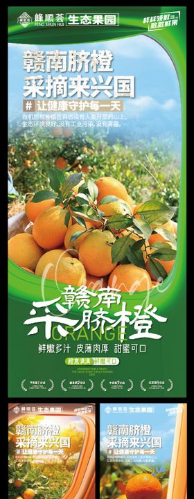 赣南脐橙生态水果活动美陈