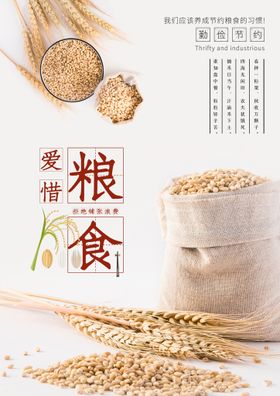 爱惜粮食校园文化活动海报素材