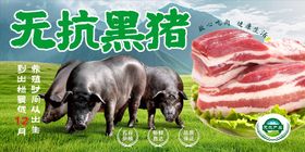 黑猪肉banner
