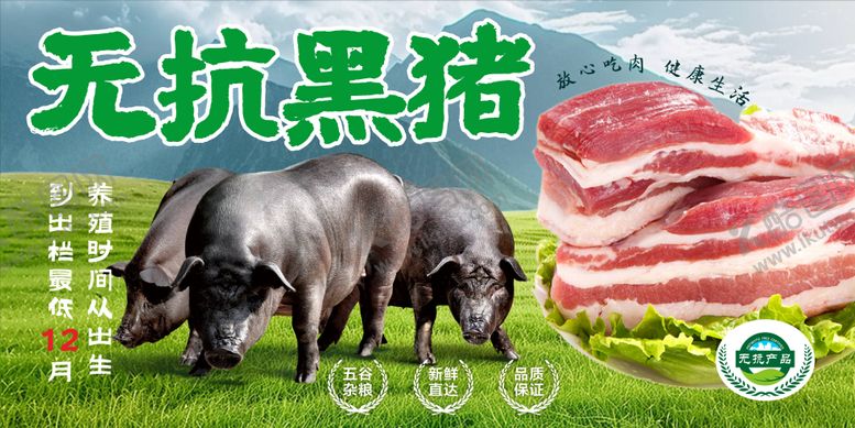 编号：12631405222024178149【酷图网】源文件下载-黑猪肉banner