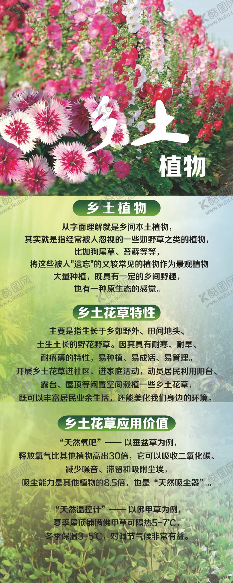 编号：79548304281440105139【酷图网】源文件下载-乡土植物展架