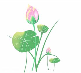 莲花矢量